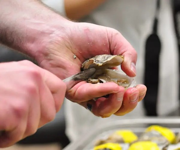 How to shuck an oyster — the easiest and safest method