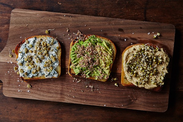 How to sprout your own grains, beans & seeds at home