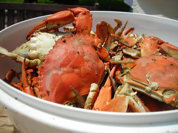 How to steam blue crabs