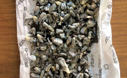 Huitlacoche crepes [Charles Luce]