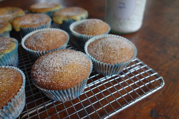 Hummingbird Bakery blueberry muffins