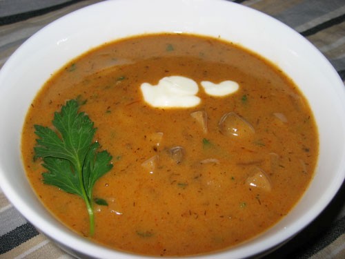 Hungarian mushroom soup