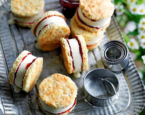 Ice cream sandwiches