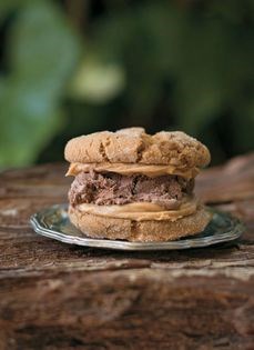 Ice cream sandwiches