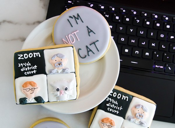 "I'm not a cat" Zoom call cookies