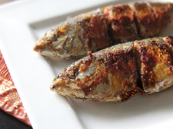 Indian mackerel fry