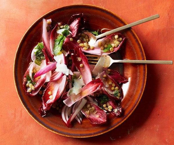 Insalata of bitter leaves, lentil, onion and pecorino
