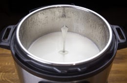 Instant Pot yogurt #12