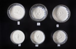 Instant Pot yogurt experiment