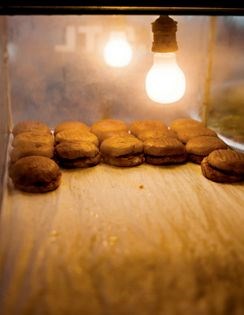 Islak burger