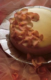 Italian cherry torte