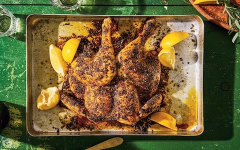 Italian chicken with chilli, oregano and rosemary (Pollo alla diavola)