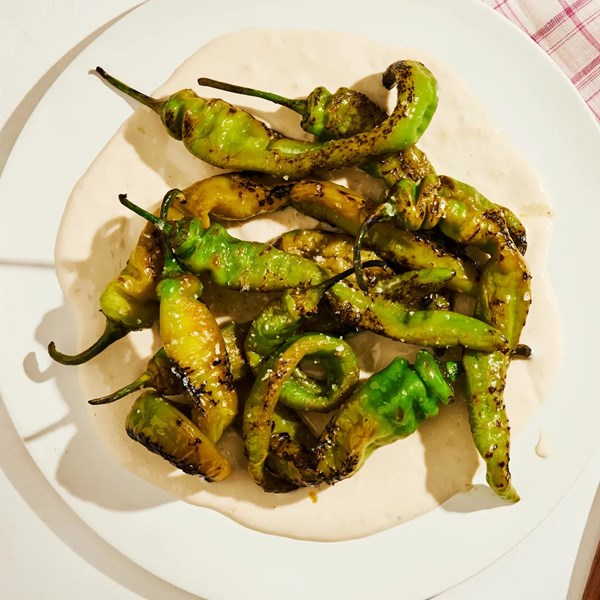 Italian long hots with tahini yogurt