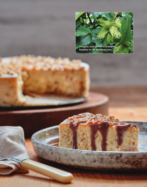 It's nutty -hazelnut cheesecake