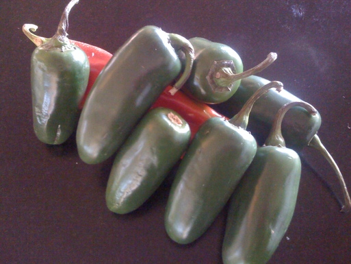 Jalepeno pepper bites