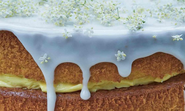 Jane Scotter and Harry Astley’s elderflower cake