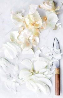 Japanese onion dressing