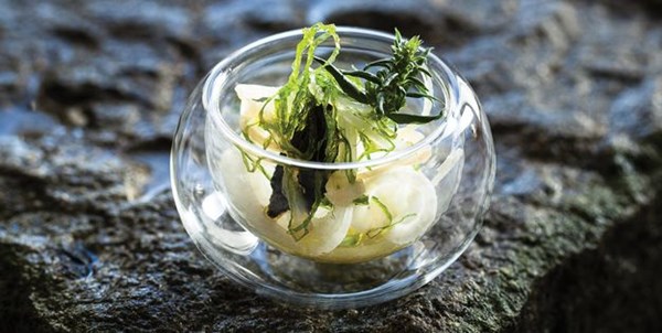 Jellyfish salad with seaweed, kohlrabi, horseradish juice, and black garlic