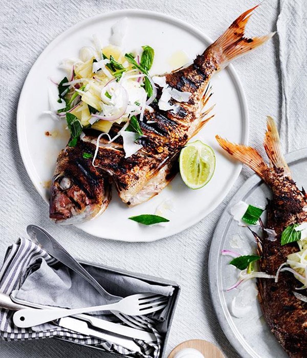 Jerk snapper
