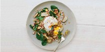 Jerusalem artichoke farro and hazelnut salad