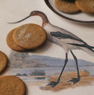 Joe Froggers, or ginger rum molasses cookies