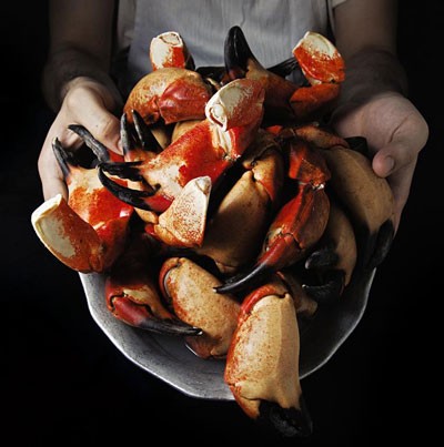 Joe's Stone Crab mustard sauce