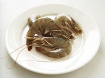 Jumbo shrimp in herbed oil