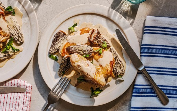 Jura chicken with morels