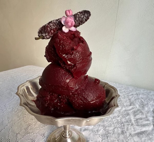 Kala khatta mulberry sorbet