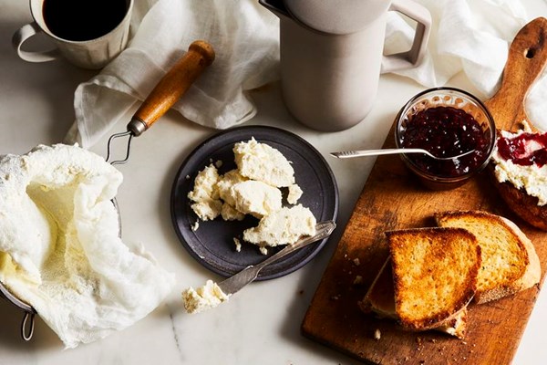 Kefir farmer cheese