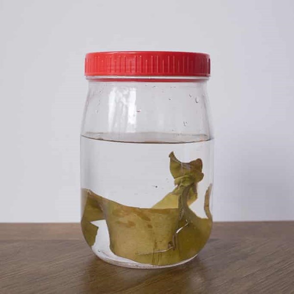 Kelp stock (Kombu dashi)