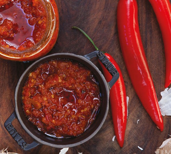 Kickstarter chilli paste recipe Eat Your Books