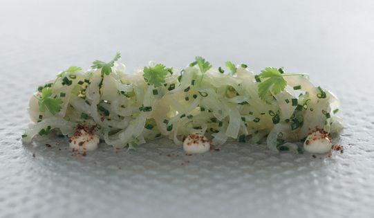 Kingfish ceviche with pickled daikon and yuzu mayonnaise