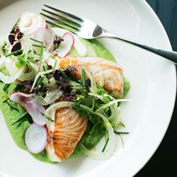 Kingfish with cucumber and fennel