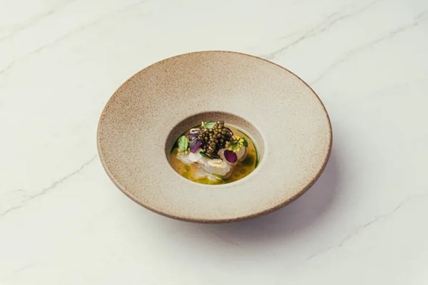 Kombu-cured bream, shio koji, celeriac dashi