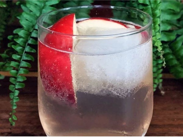 Kombucha spritz