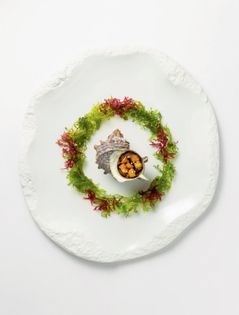 Korean murex in soy