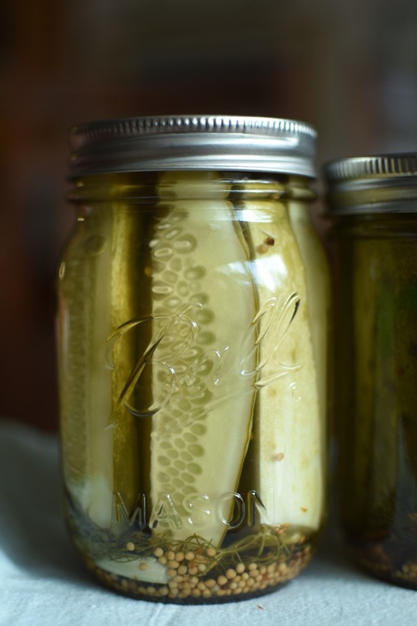 Kosher dill pickle spears