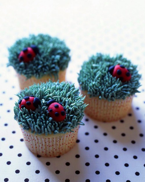 Ladybug cupcakes