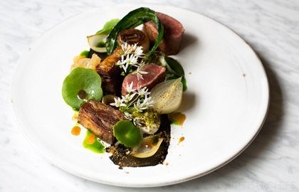 Lamb, smoked aubergine, yoghurt and onions
