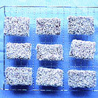 Lamingtons