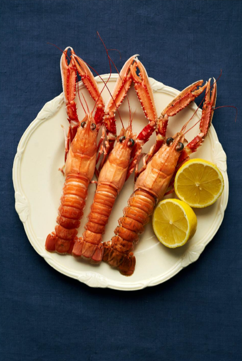 Langoustines Dublin Bay prawns