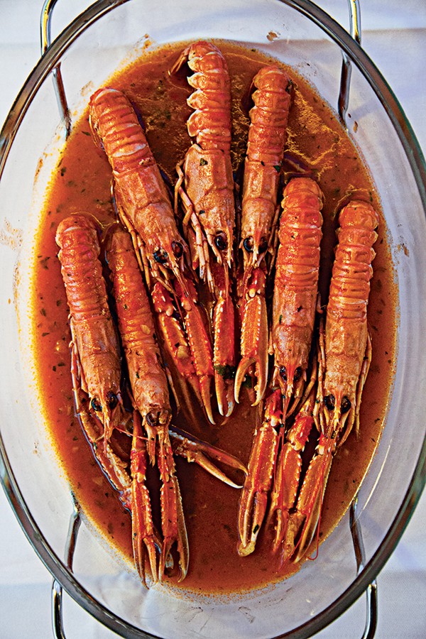 Langoustines in tomato, garlic, and wine sauce (Skampi na buzaru)