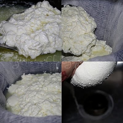 Large curd cottage cheese