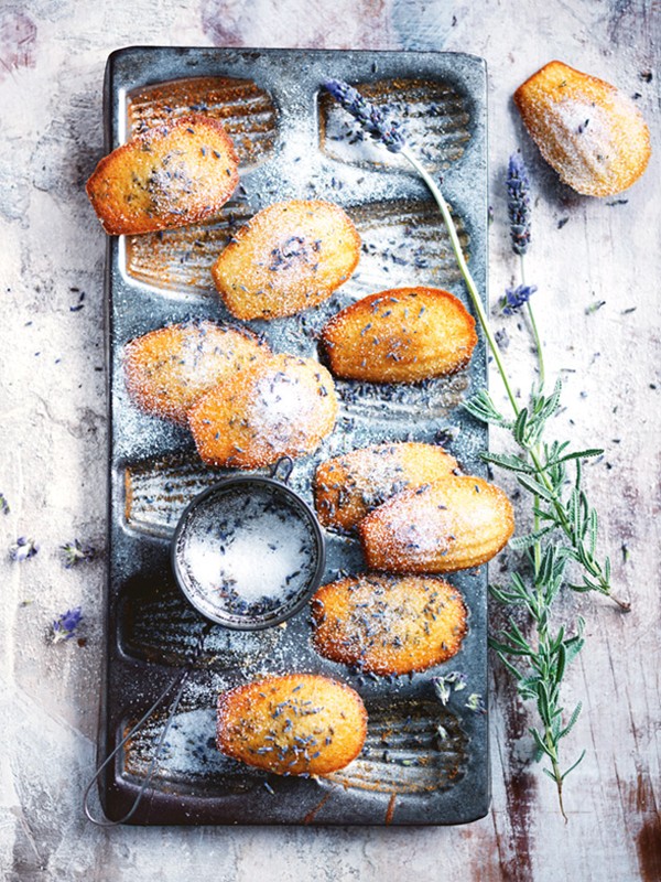 Lavender-spiced honey madeleines