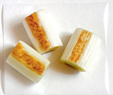 Leek