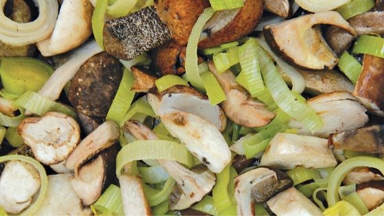 Leeky boletus