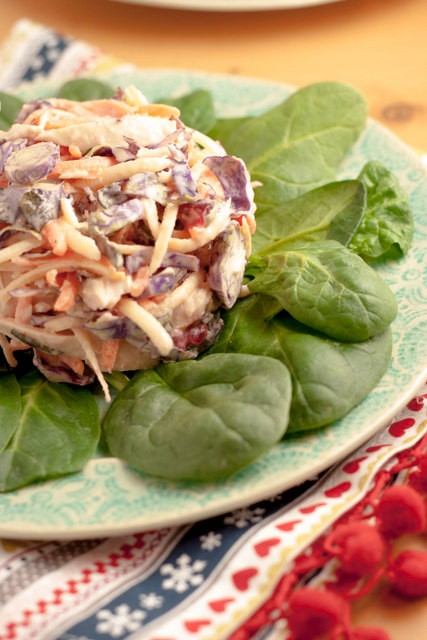 Leftover turkey coleslaw with tahini & cranberry sauce dressing