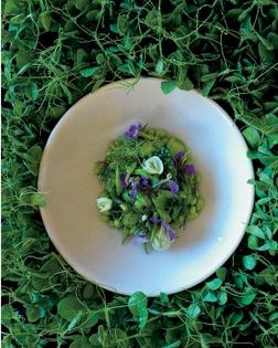 Legumes, their flowers and fresh cheese