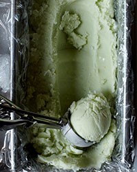 Lemon and fresh sorrel sherbet